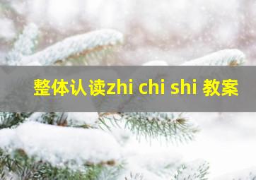 整体认读zhi chi shi 教案